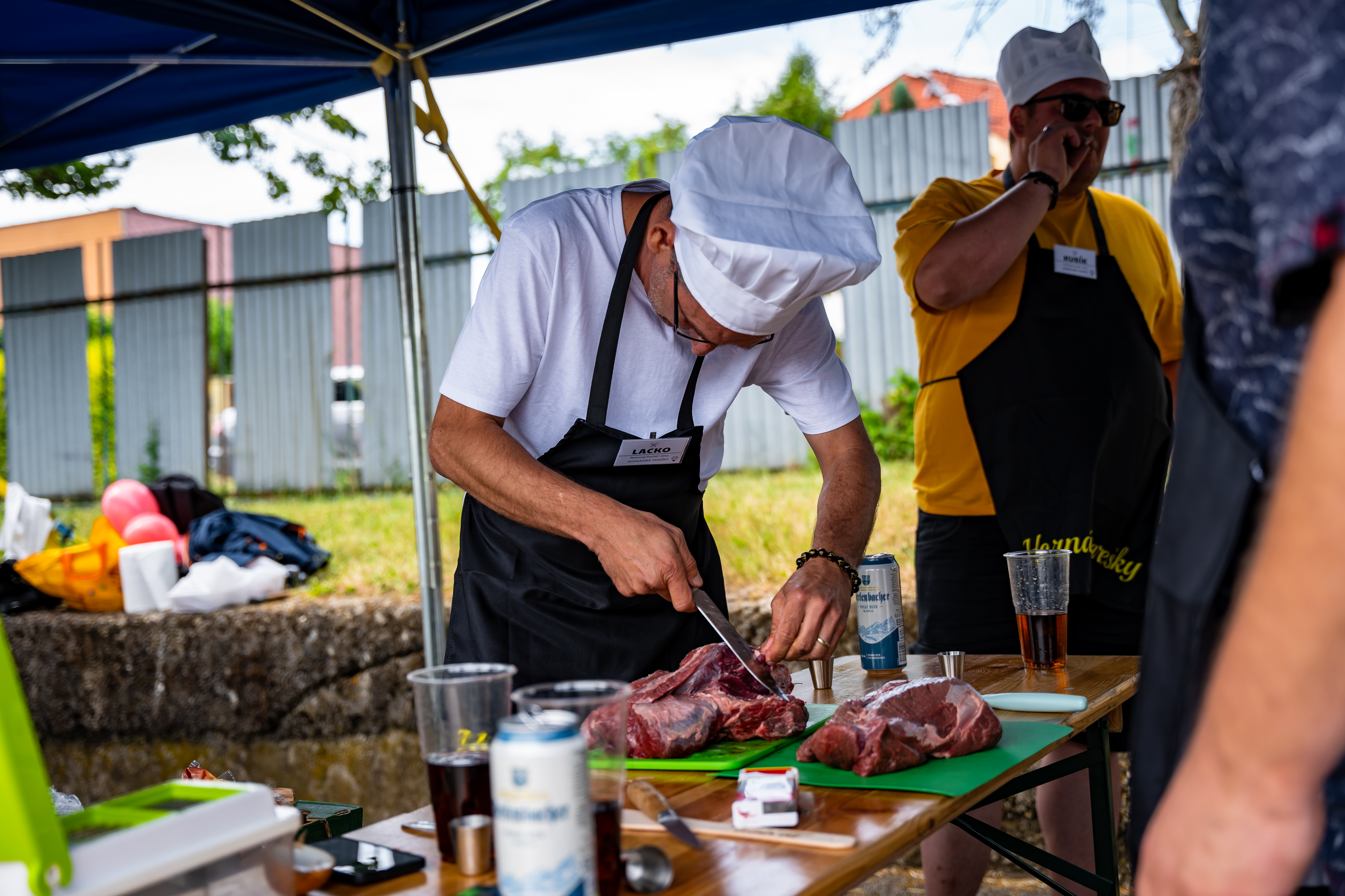 Gulas s odborarmi DPMK -10